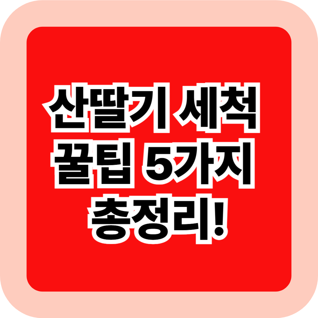 산딸기 세척 꿀팁 5가지 총정리! 여름철 곰팡이 없이 오래 보관하는 법