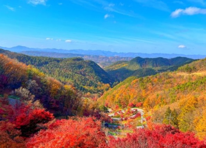 2025 충청도 단풍 명산 코스 추천 ❘ 월악산·계룡산·속리산 절정 시기