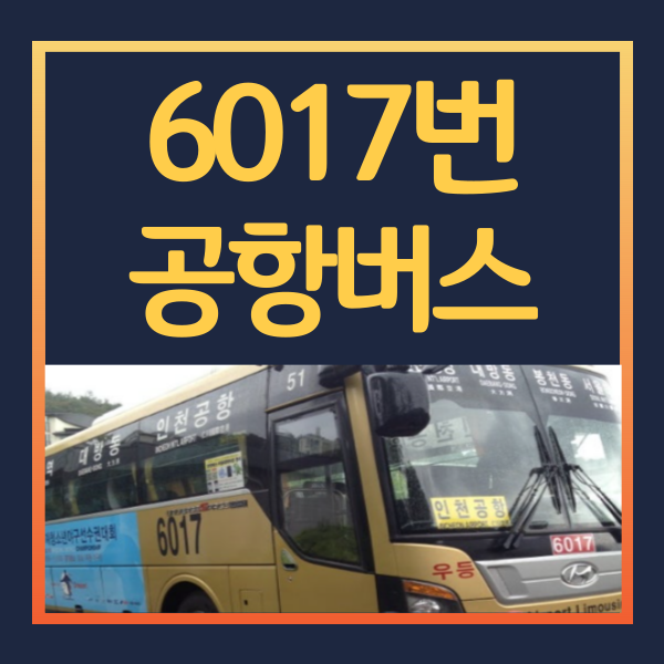 6017번 공항버스 썸네일