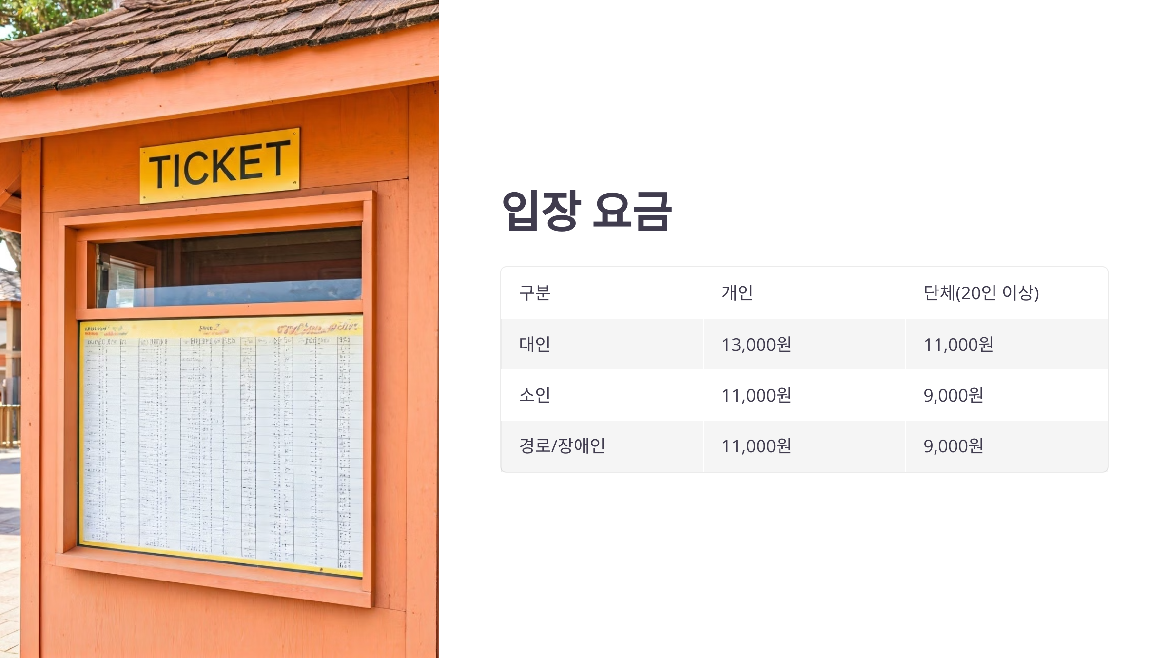 제주의 봄! 휴애리 유채꽃 축제!