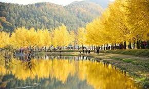 가을 단풍여행 꼭 가볼한 곳 베스트 5 여기는 꼭 가보세요!