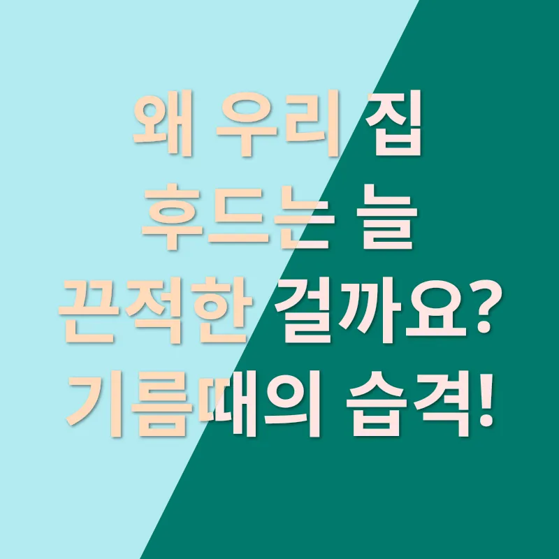 주방후드 청결유지_1