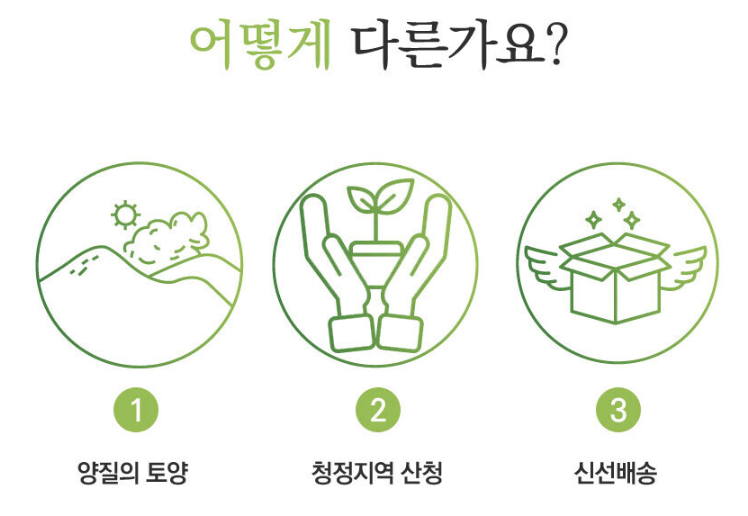 경남 산청 산나물 &lsquo;눈개승마&rsquo; 구매처