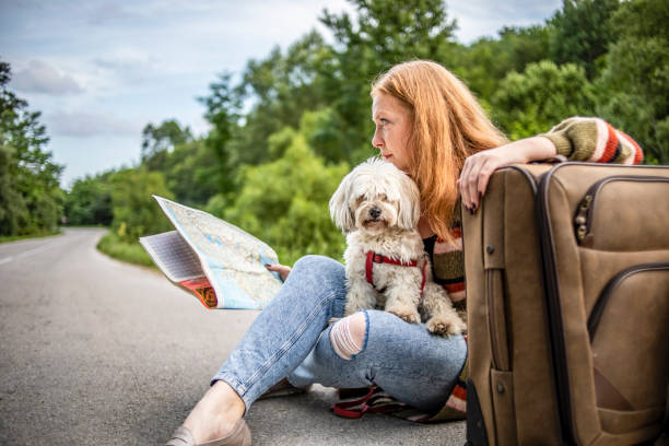 항공사별 반려견 운송 규정