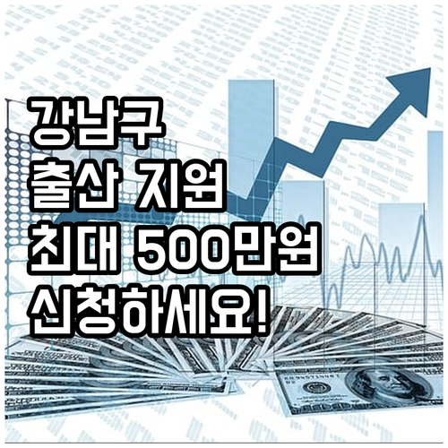 강남구 2025 출산양육지원금: 신청..
