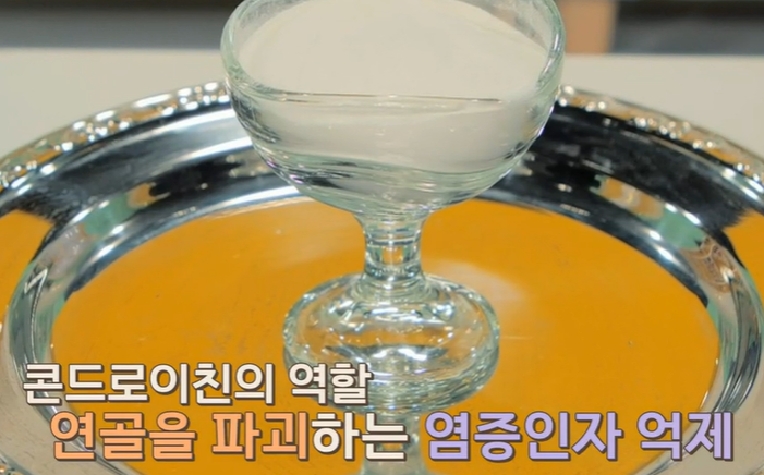 콘드로이친 효능