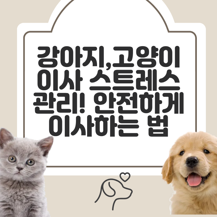 강아지,고양이 이사 스트레스 관리! 안전하게 이사하는 법