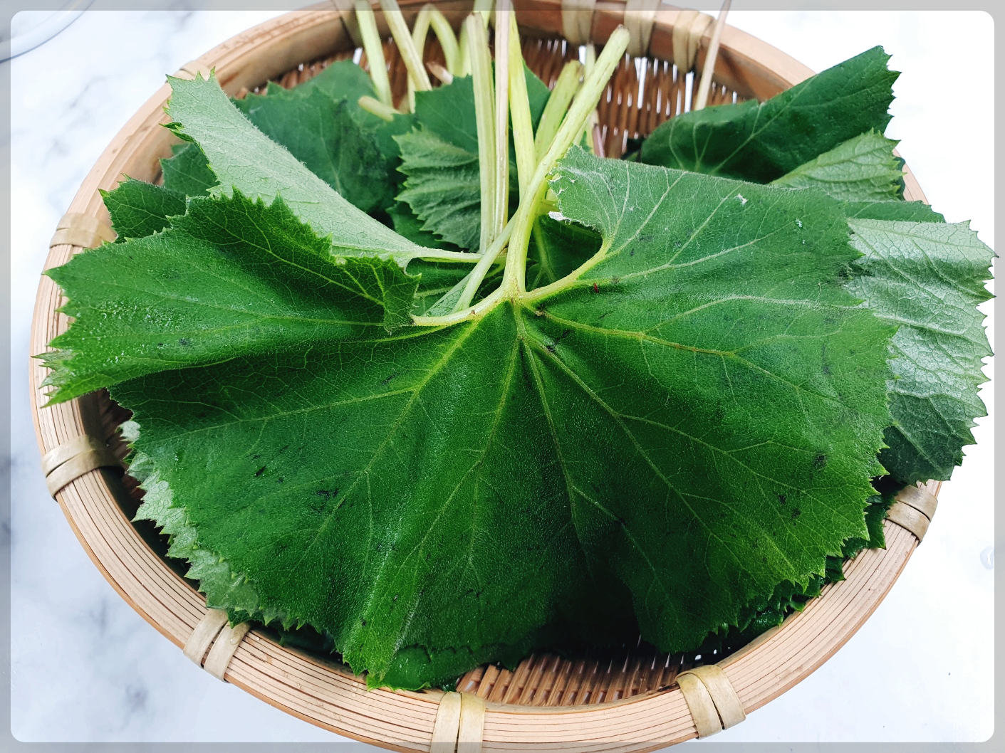 곰취장아찌 만드는법