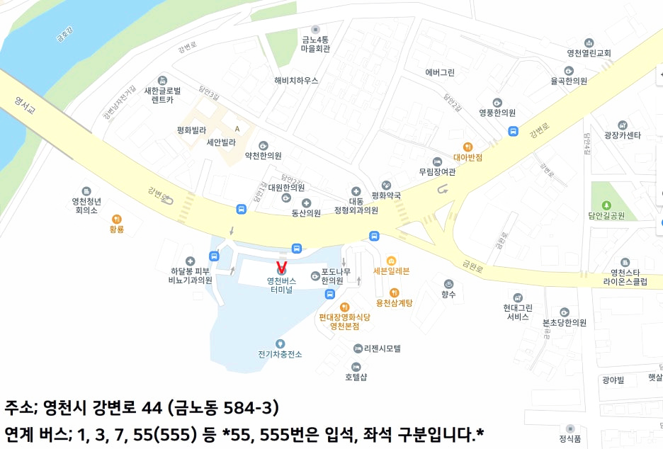 영천버스터미널 주변 지도