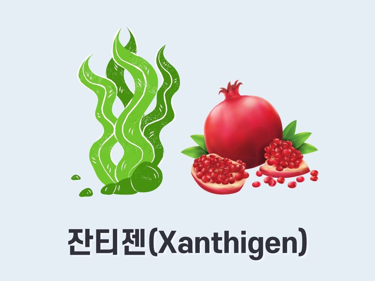 잔티젠(Xanthigen)