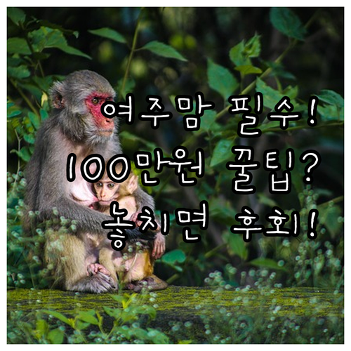 여주시 산후조리비 100만원 지원 2..