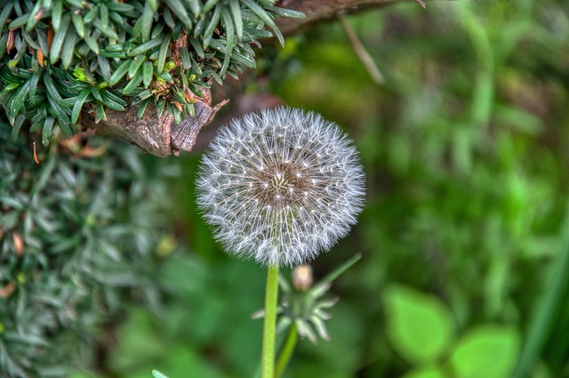 삼성 에어컨 곰팡이 냄새 제거