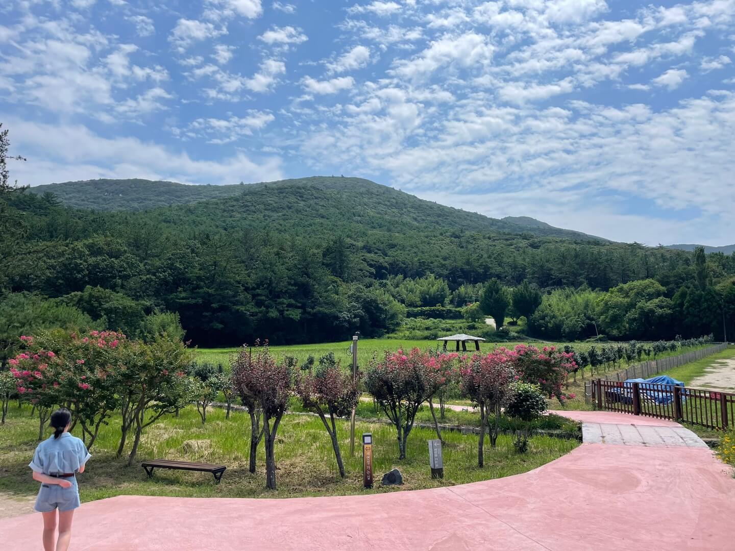 윤선도원림 세연정