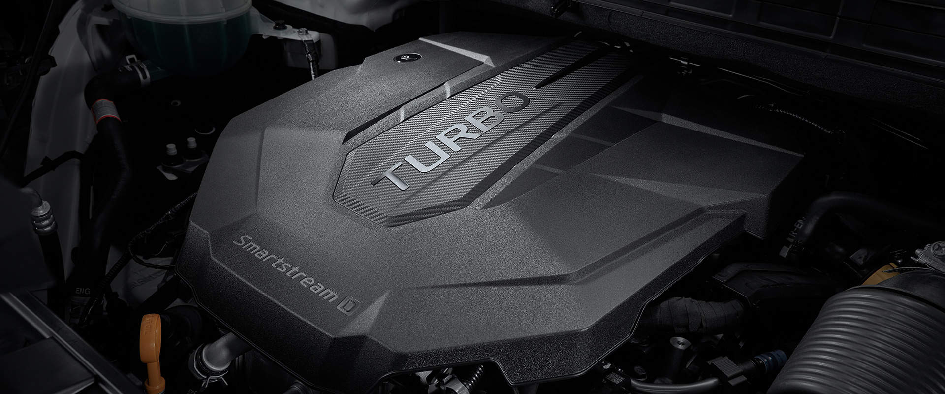 신형 카니발, The New Carnival