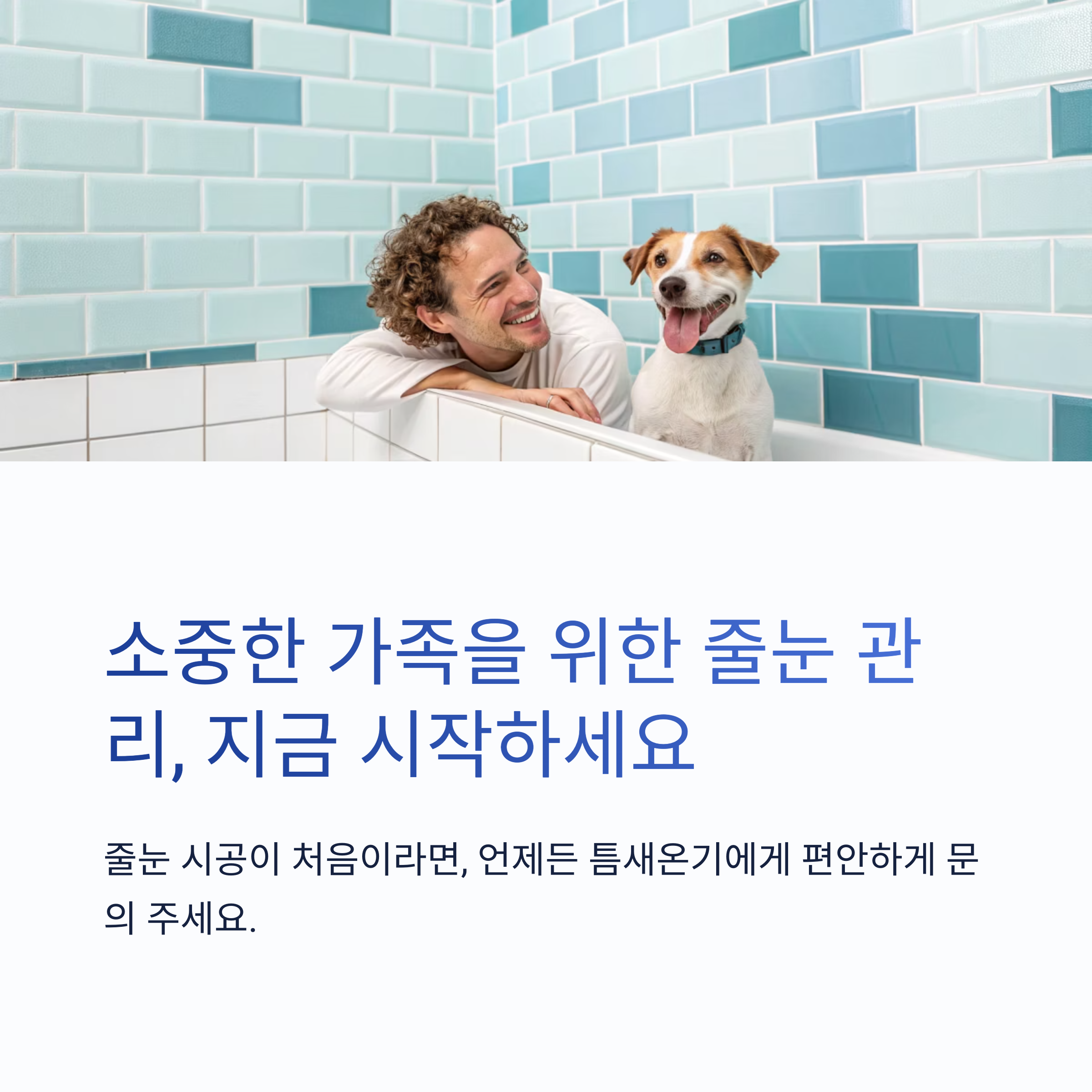 반려동물 있는 집, 줄눈 관리 꼭 필요한 이유