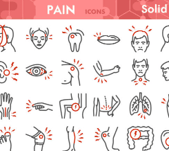 하지 정맥류 증상 수술비용