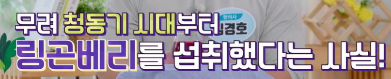 링곤베리