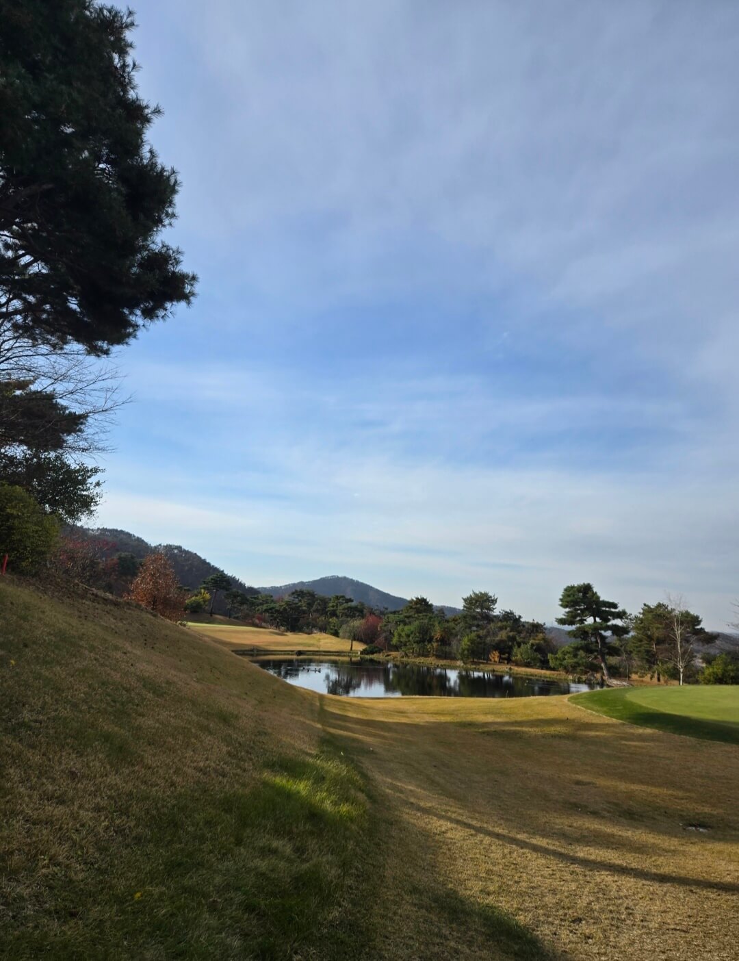 호수와 그린
