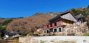 6시 내고향 강진맛집 석문정