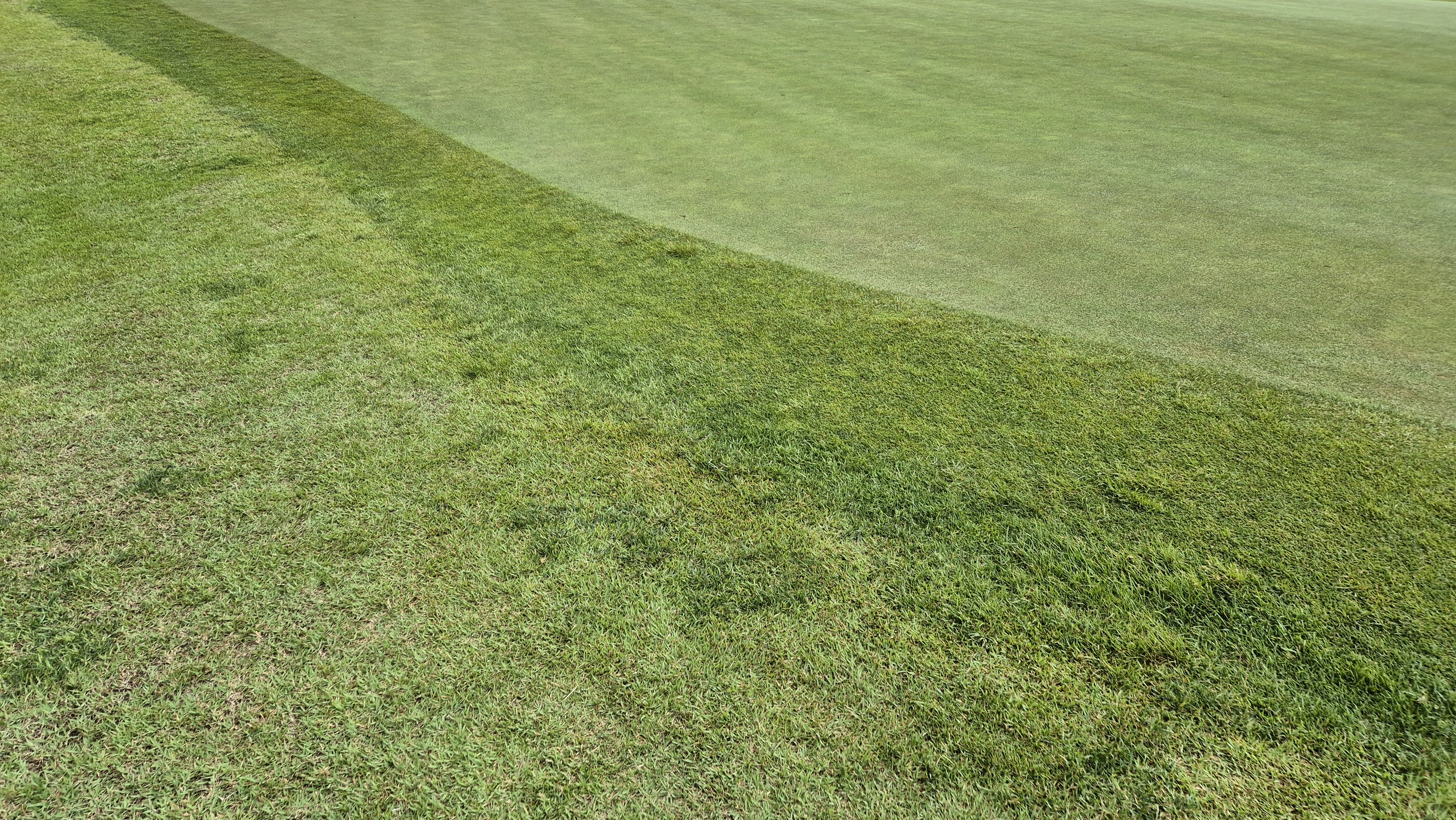 샴발라cc 라운드 후기