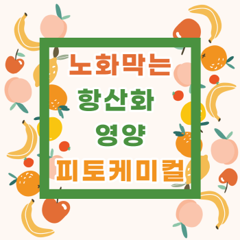 노화막는 항산화 영양소 피토케미컬