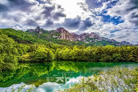 국립공원 예약통합시스템 바로가기