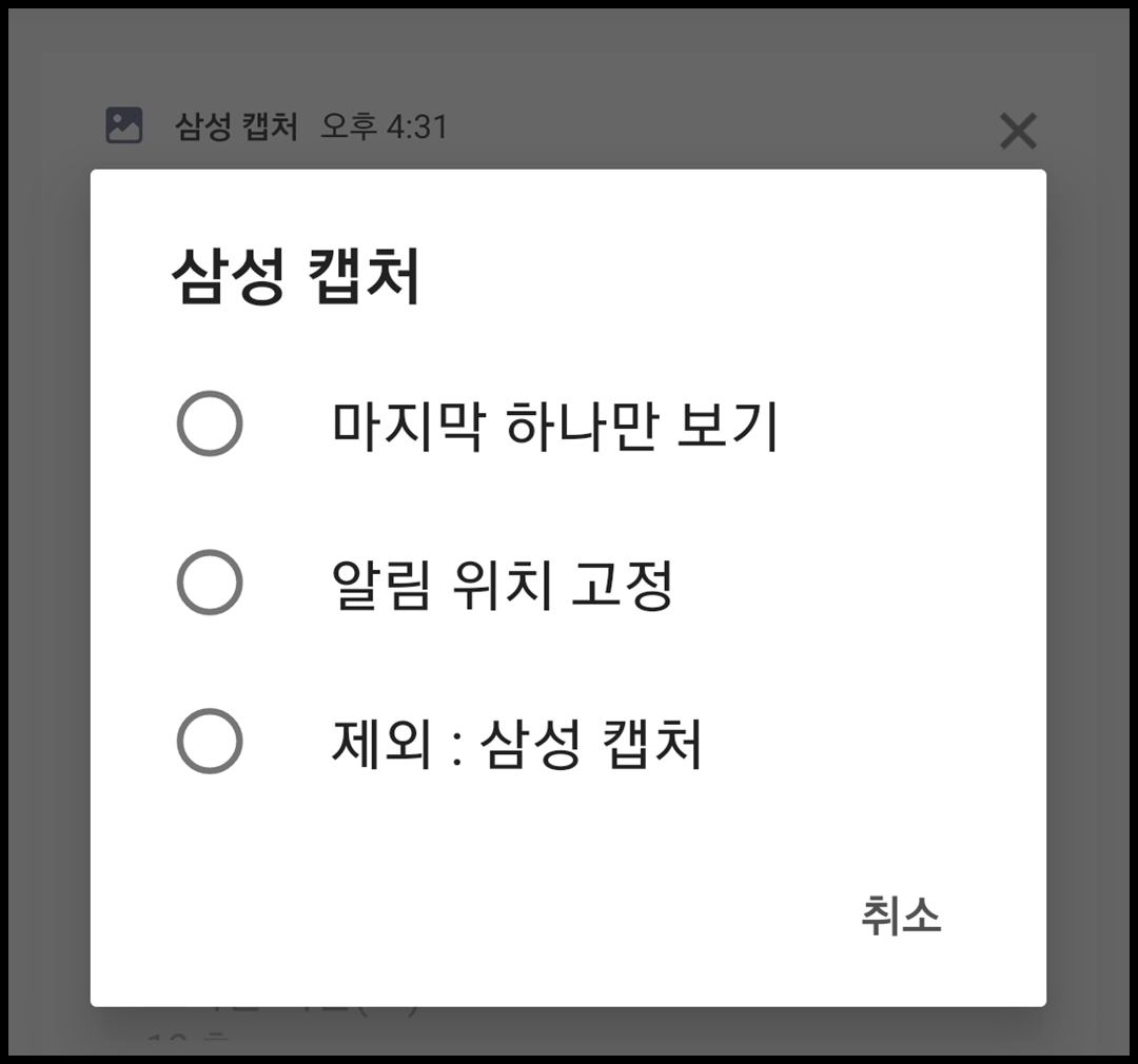 타임라인 설정