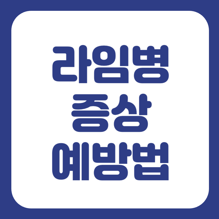 라임병 증상