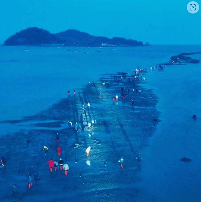 신비의 바닷길 사진