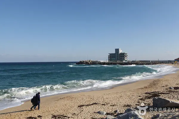 강릉 경포호 일출 풍경 호수 둘레길 4km 산책 코스 아침 풍경