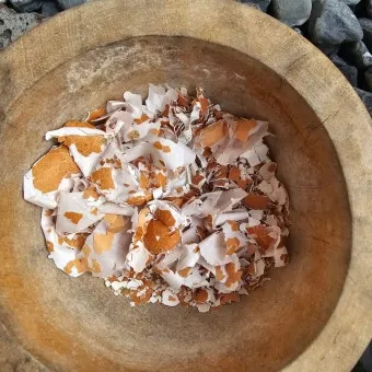 계란껍질 분말 토양개선 칼슘보충 사용요령 초보도 따라하기_9