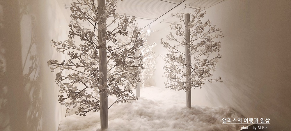 해운대 뮤지엄원 치유의기술, 부산 실내 가볼만한곳, 부산 전시 + 33% 할인예약방법