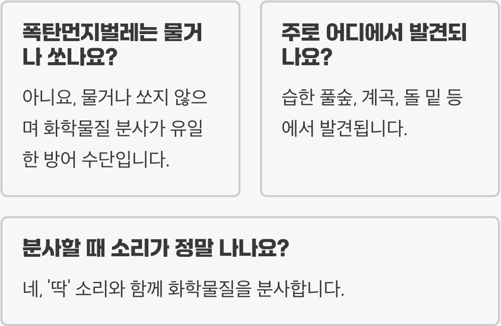 폭탄먼지벌레, 사람에게도 해로울까? 피부에 닿았을 때 대처법과 위험성 총정리