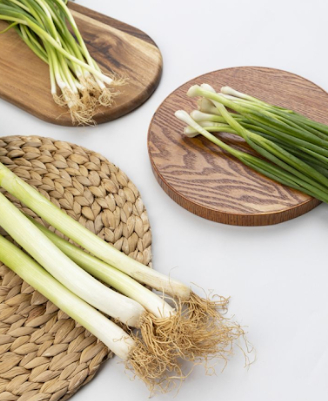 9월에 심는 작물 가을 텃밭 주말농장 야채 채소 키우기 농작물 10가지 2