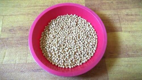 메주콩-백태-대두-노란콩-파종시기-심는시기-수확시기