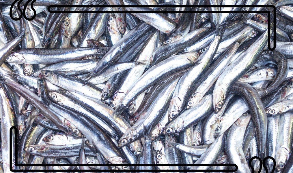 통풍에 안좋은 음식