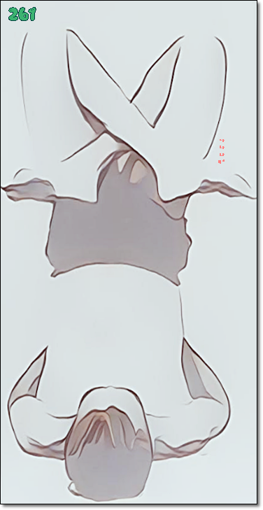 소소한요가 클래스