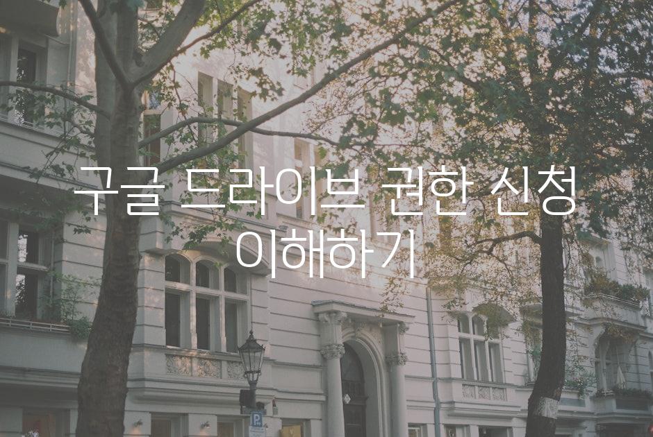 구글 드라이브 권한 신청 이해하기