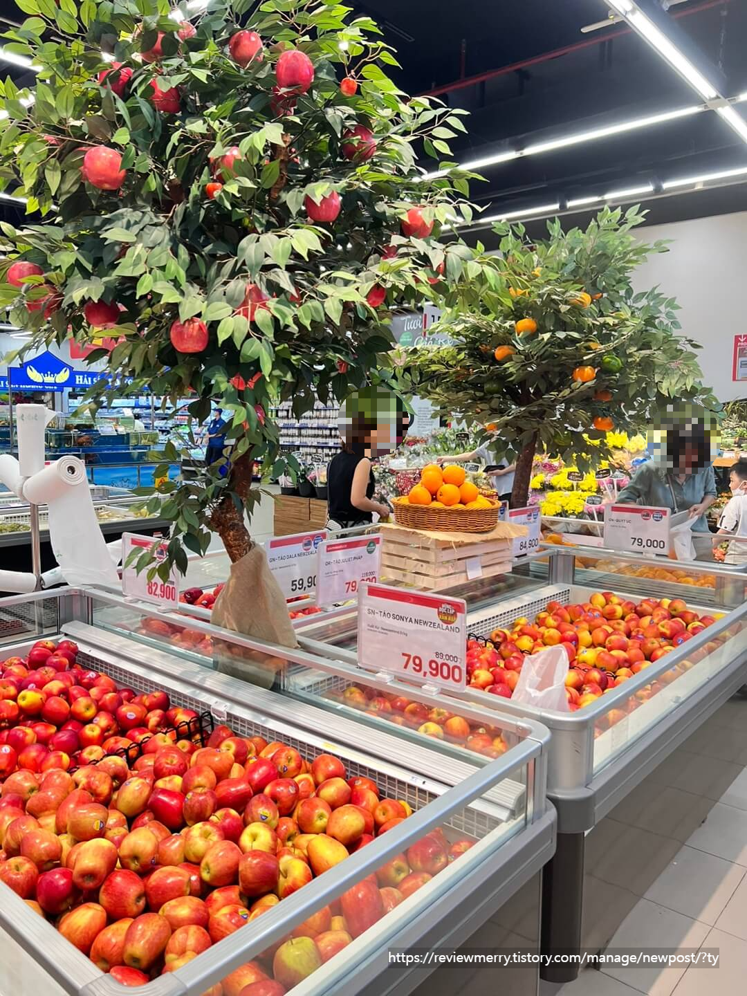 롯데마트 현지과일