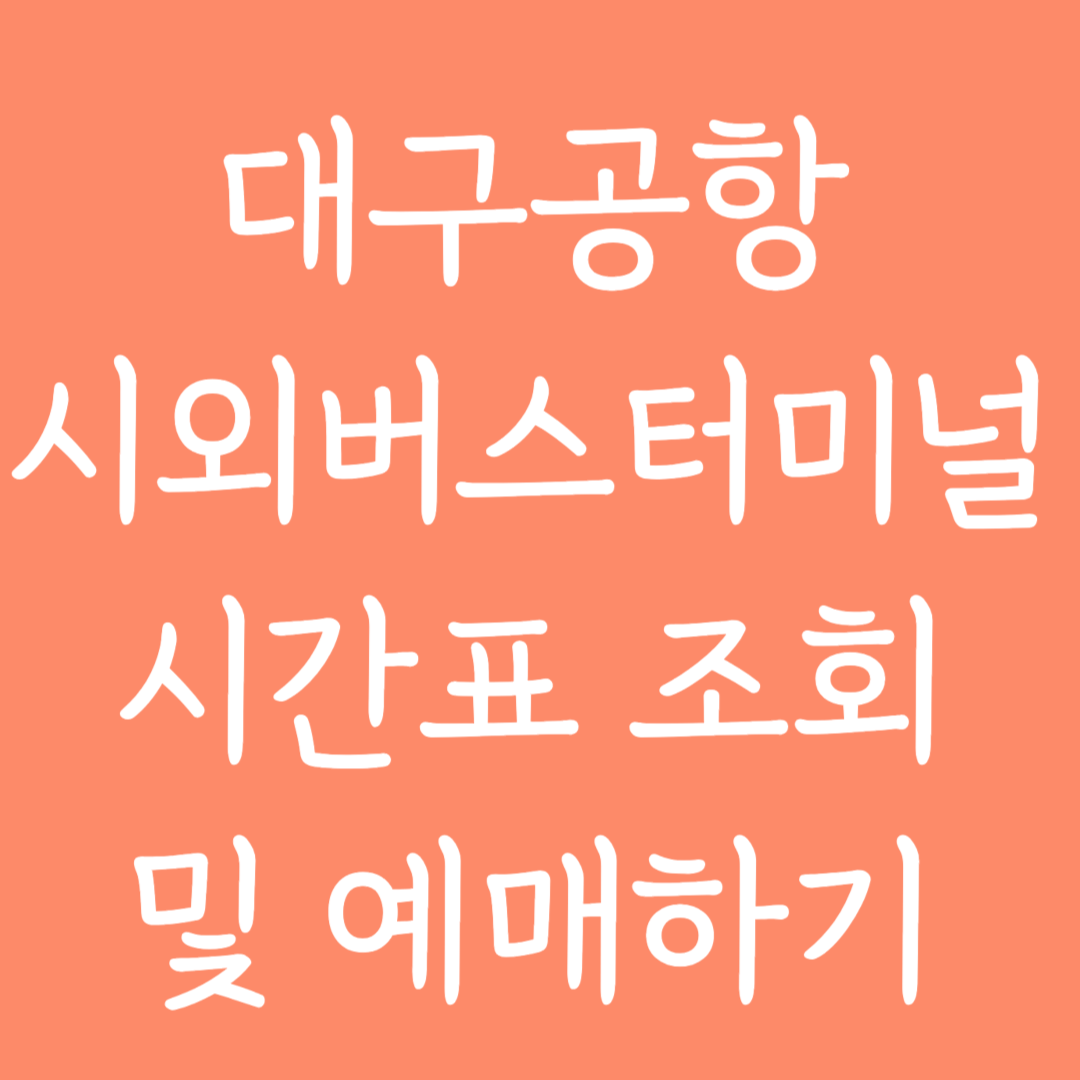 대구공항 시외버스터미널 시간표 조회 및 예매하기