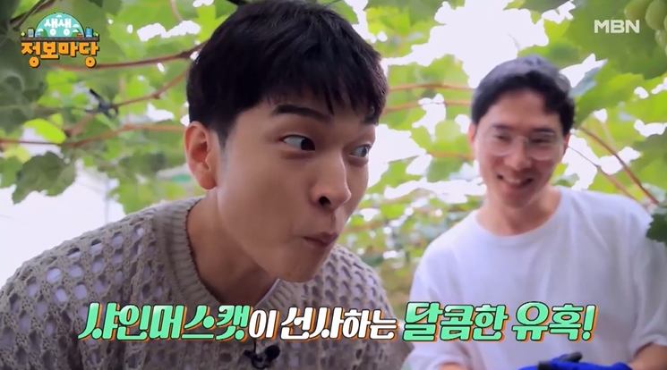 생활의 기술 달콤한 유혹 샤인머스캣 엄청 달달한 청포도 경북 김천 명물 추천