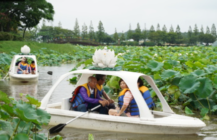 무안 연꽃축제 일정 장소 공연 행사 주차