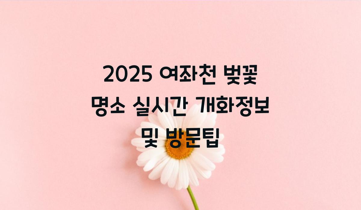 여좌천 벚꽃 명소  