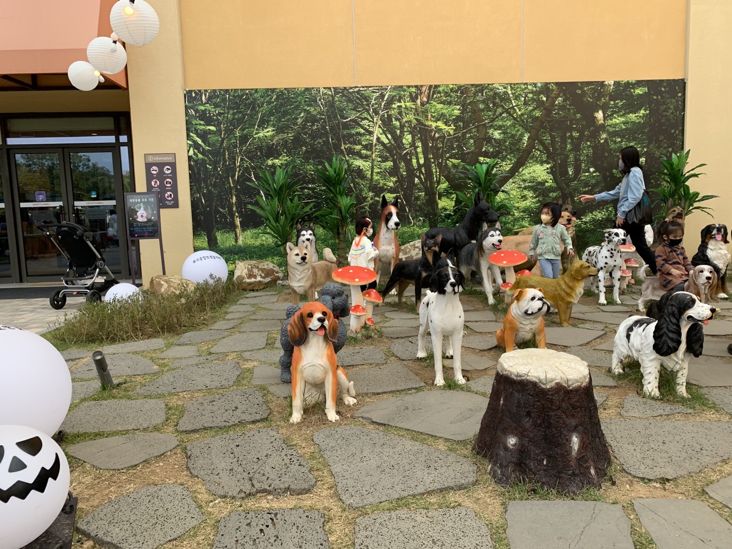 용인 기흥 롯데아울렛 펫파크