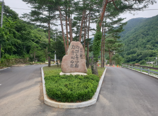 삼척활기 자연휴양림