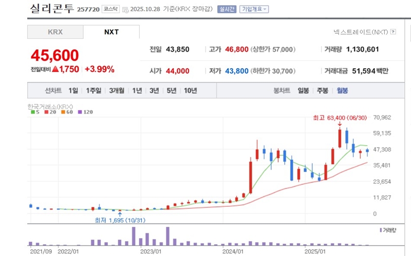 실리콘투 주가 차트 월봉