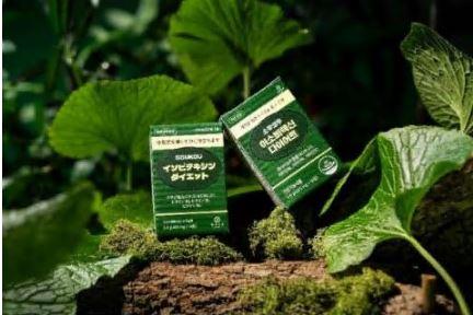 소우코우 이소비텍신 다이어트