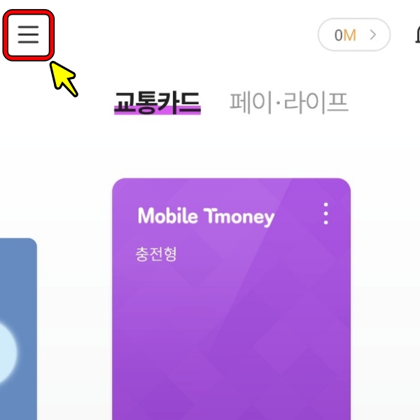 모바일 티머니 설정 진입 화면