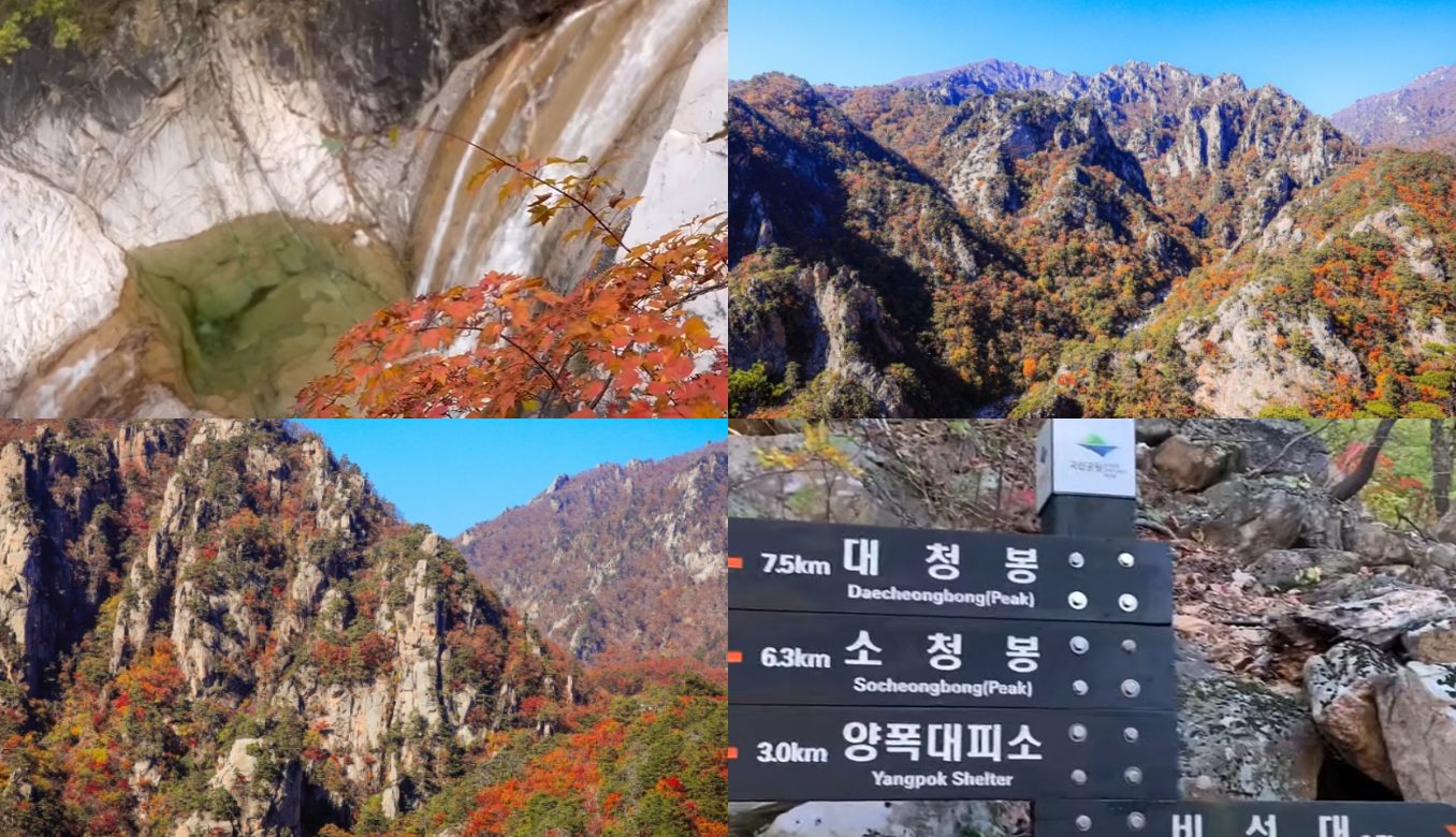 설악산 단풍절정시기