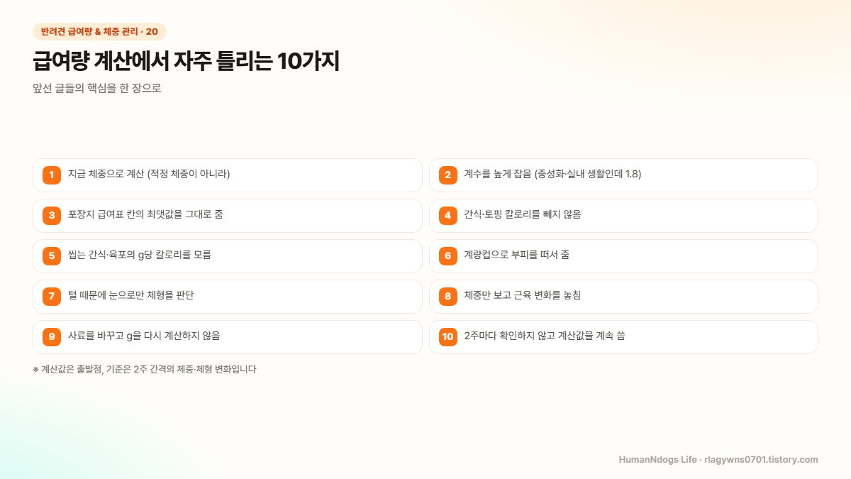 지금 체중으로 계산, 계수를 높게 잡음, 급여표 최댓값, 간식 칼로리 누락, 육포 칼로리, 계량컵, 눈으로만 체형 판단, 근육 변화 놓침, 사료 교체 후 재계산 안 함, 2주 확인 안 함 등 급여량 계산 실수 10가지 점검표